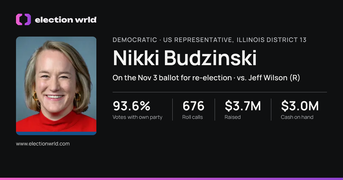 Profile card for Nikki Budzinski