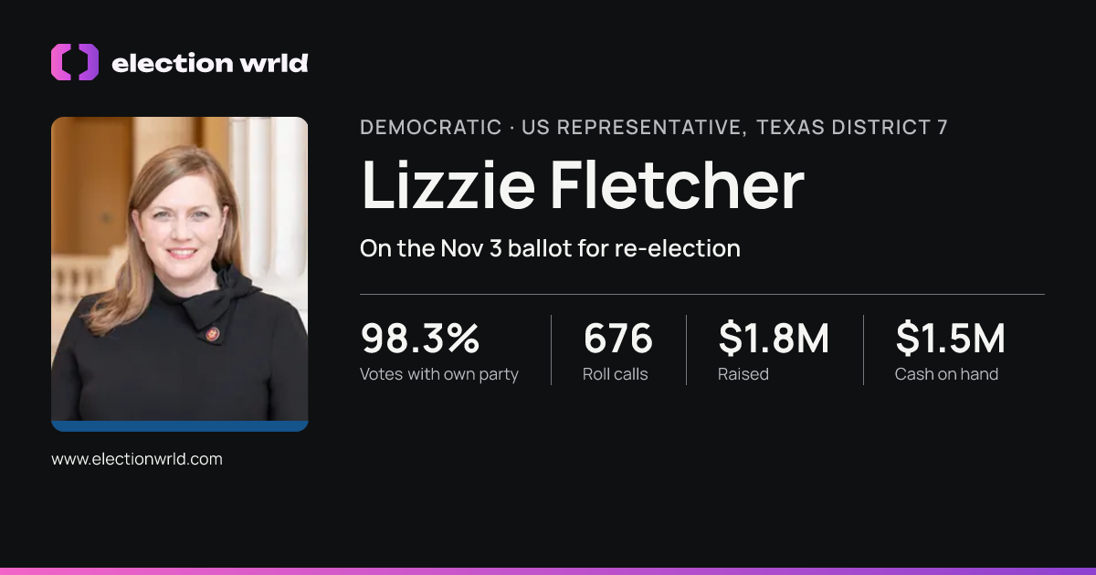 Profile card for Lizzie Fletcher